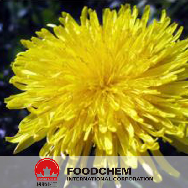 Chrysanthemum Extract